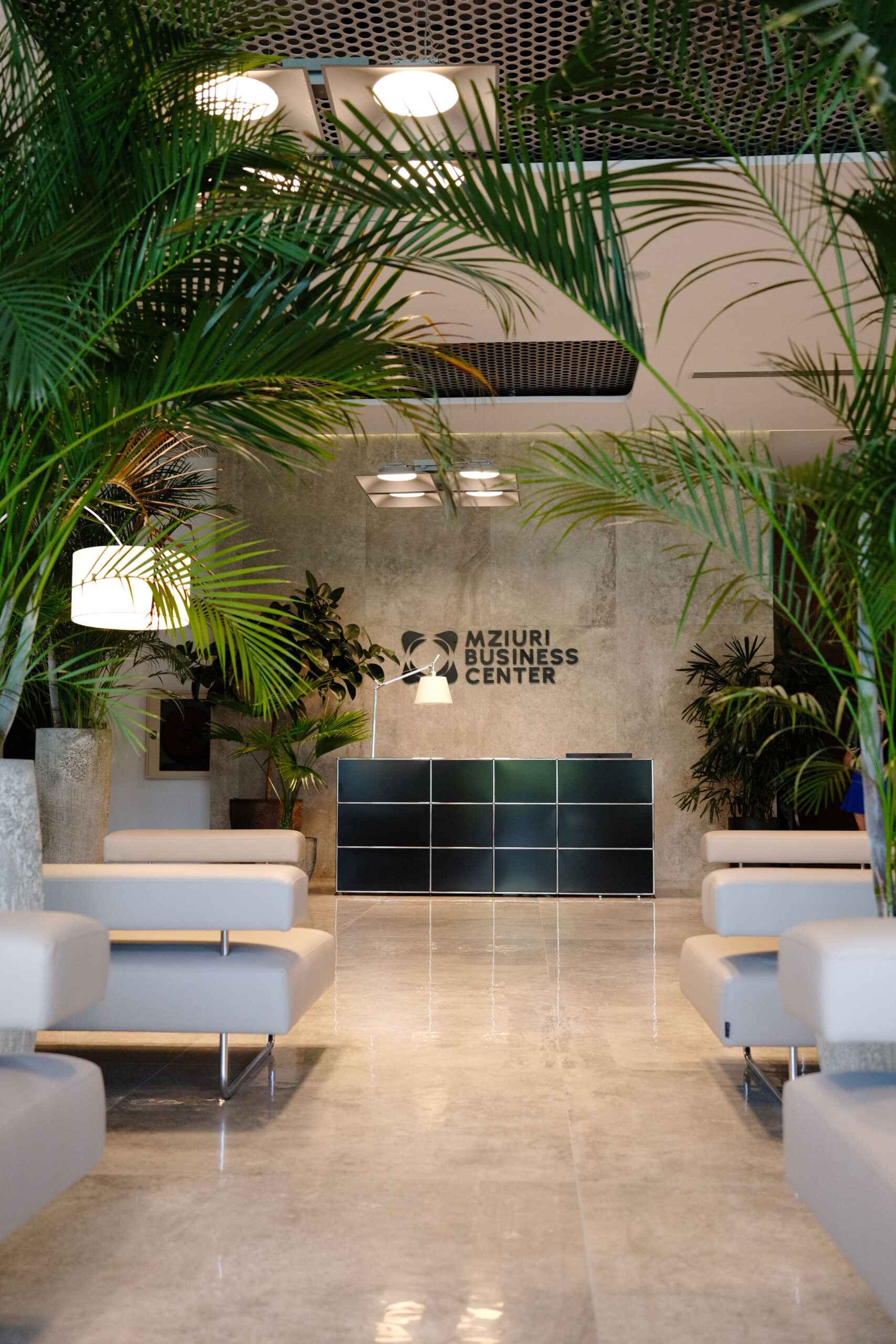 Mziuri Business Center